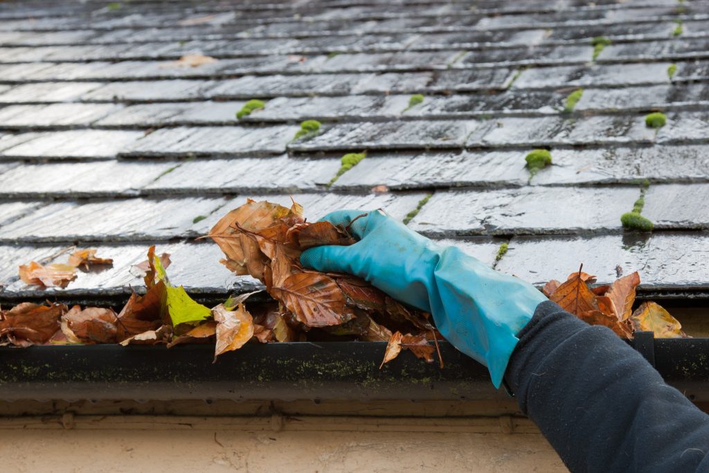 Cibolo Gutter Cleaning Near Me