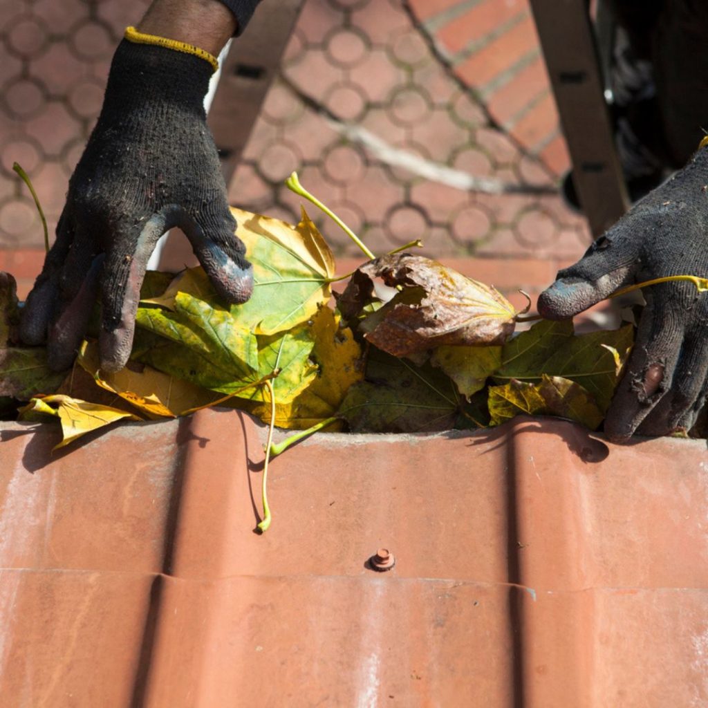 Gutter Cleaning Service Canyon Lake Tx