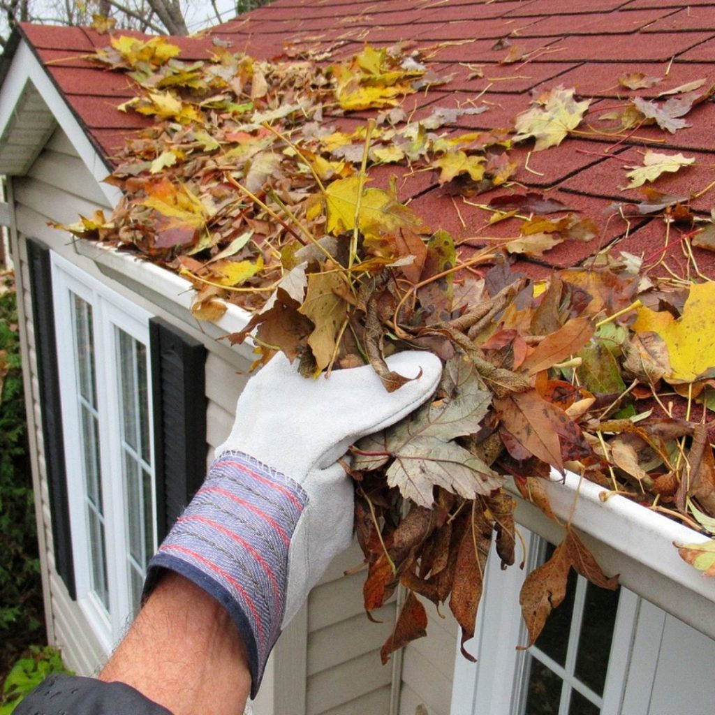 Gutter Cleaning Canyon Lake Tx